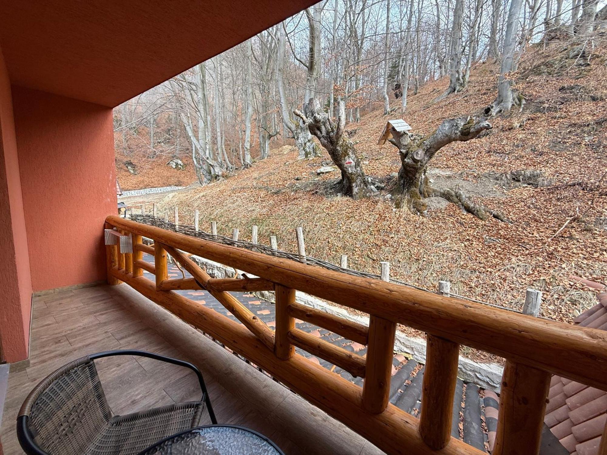 Conacul Radacinilor Otel Petroşani Dış mekan fotoğraf