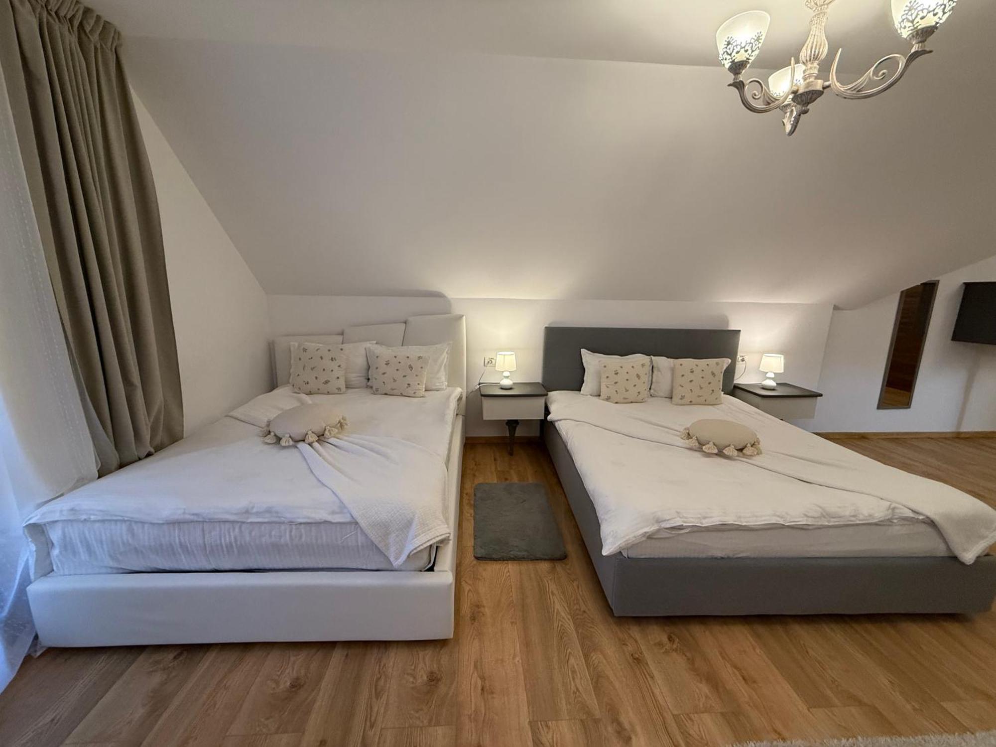 Conacul Radacinilor Otel Petroşani Dış mekan fotoğraf
