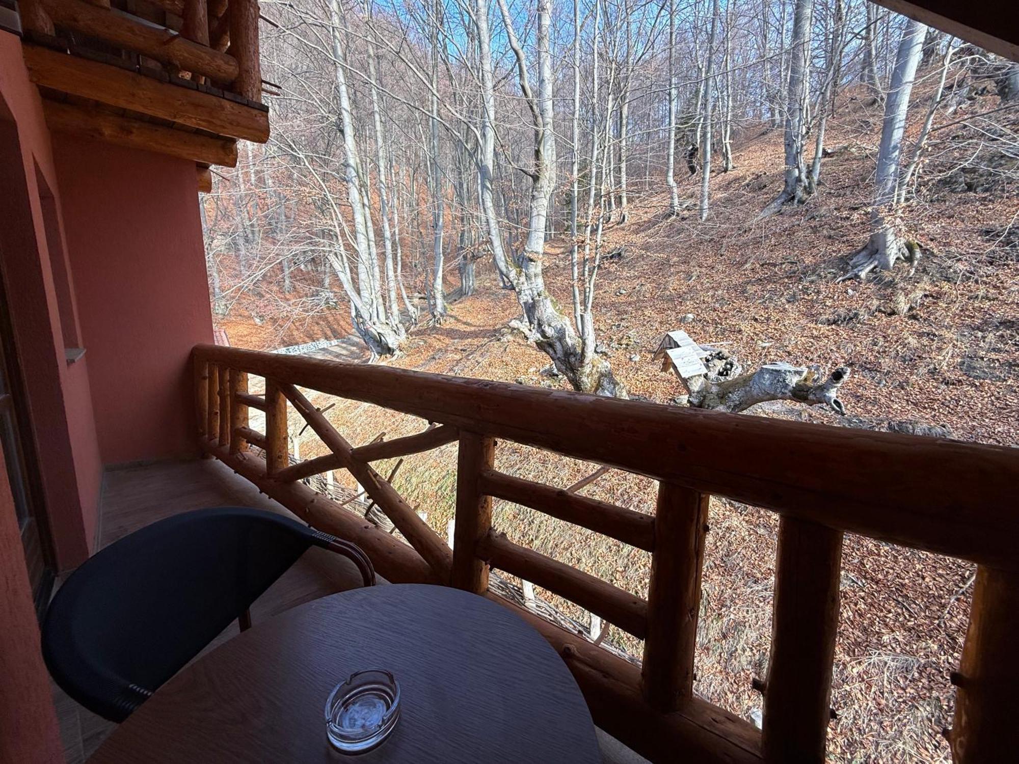 Conacul Radacinilor Otel Petroşani Dış mekan fotoğraf